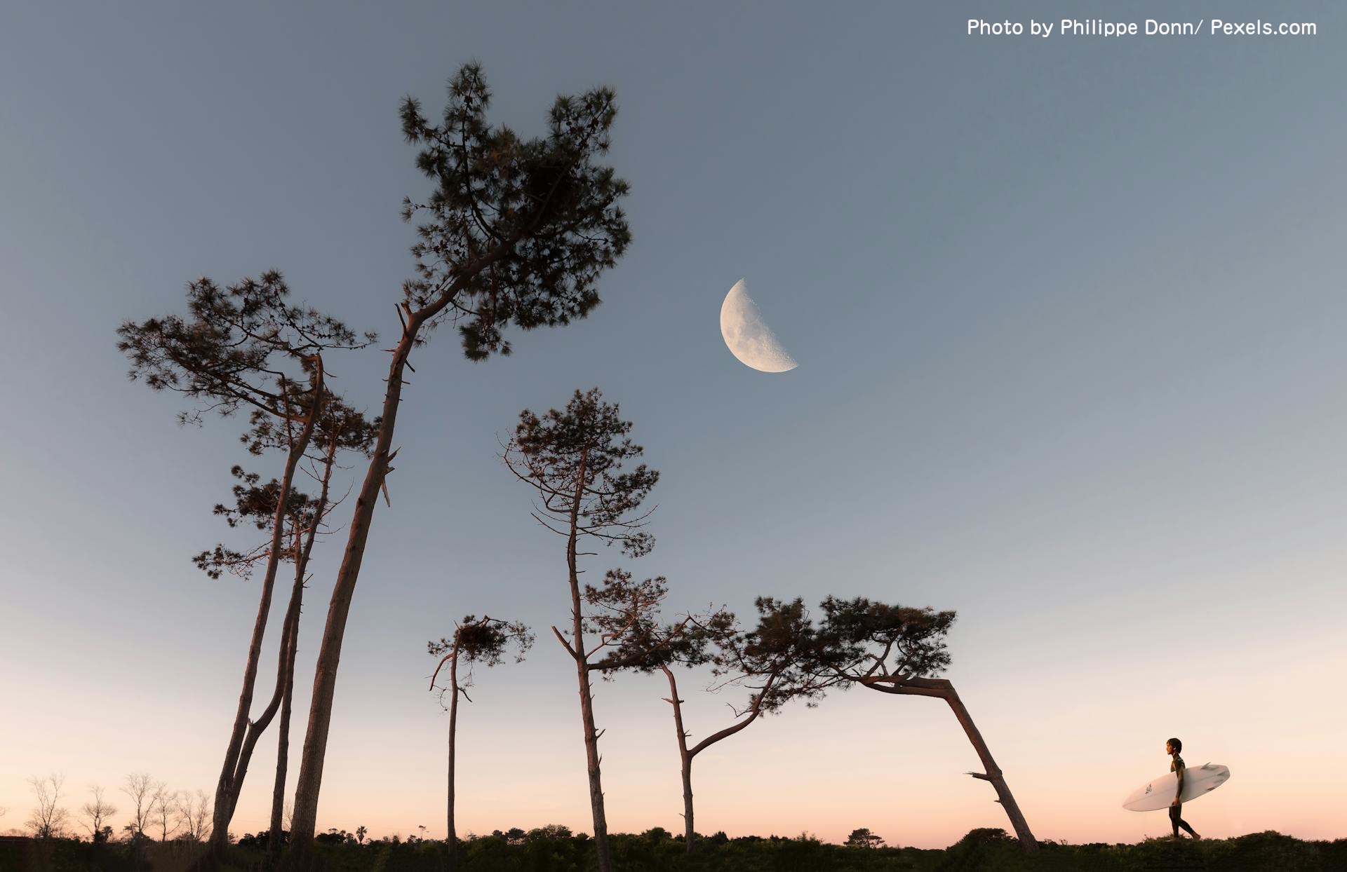 pexels-philippedonn-1242764